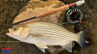 First Wiper On The Fly ! Hybrid Double Catch Bonus !