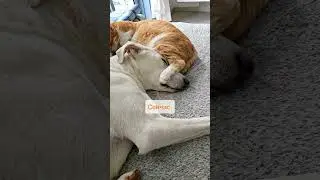 Год назад и сейчас 😅🤍🧡