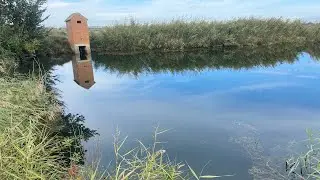 Pantano carpa 🐟🐟🐟🐟🐟#carpfishing #fish #carpfish #carpa #pescuit #freshwaterfish #fishing