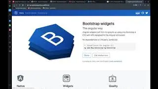 Angular 3rd party library and material