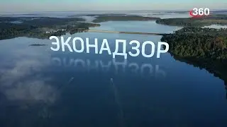 Эконадзор Московской области (2022)