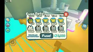 Roblox - What if you fuse 4 propeller cats in pet simulator x