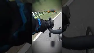 ПЁС спас байкера от диких собак 🫢