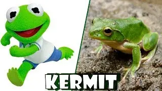 Muppet Babies Characters In Real Life