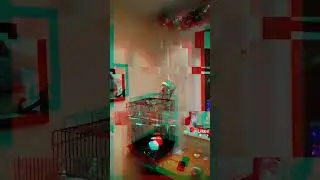Полёт попугая в замедленной съёмке slowmo! #shorts #попугай #slowmotion #slowmo #замедленнаясъемка