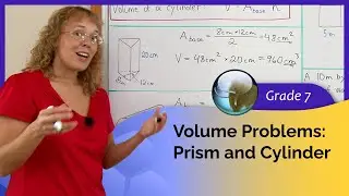 Volume of prisms and cylinders