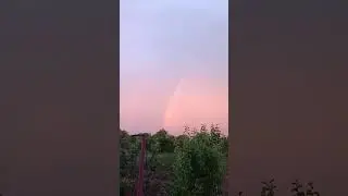 Краса Української природи🌈 #nature #flowers #farming