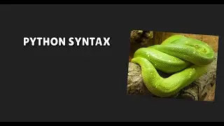 Python Syntax