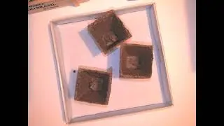 expérience semis