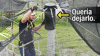 ¡Instalamos la red de 1000 libras sobre el aviario!