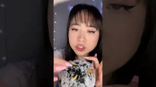 ASMR Eating Bugs from Your Hair 