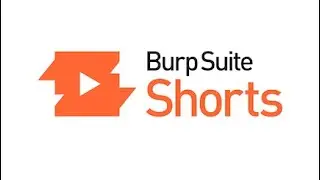 Burp Suite Shorts | BCheck Testing Tool