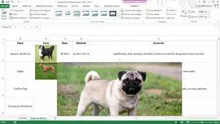 Change an image from a cell value in Excel