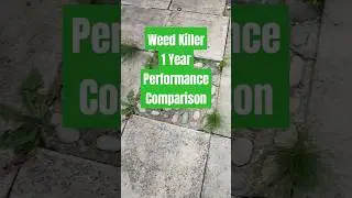 Weed Killer - One Year Performance