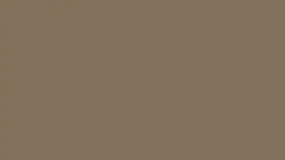 1x1 Pixel Image