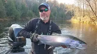 Michigan Steelhead Fishing Reports - Muskegon River Steelhead Fishing Reports - November 7th
