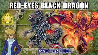 Best Red-Eyes Black Dragon Deck! - Burning Everything! | Yu-Gi-Oh Master Duel
