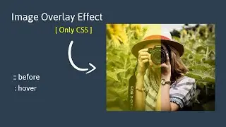 How to create image overlay effect using HTML and CSS || Image Hover Effect @ravied