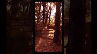 Очень красивый парк 
