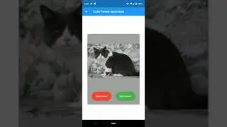 Flutter ColorTween Animation  in Action