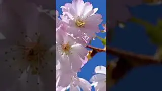 Հեղնար աղբյուր