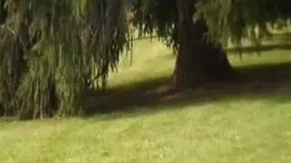 Retreat Video #4 - CMS