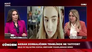 What topics did the MHP address in the budget discussion? MHP Group Deputy Chairperson Filiz Kılı...