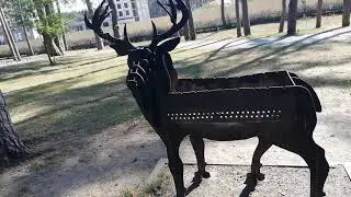 Ирпень, парк Центральный , август 2019