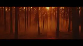 Peter Sandberg - Wait (ft. Siv Jakobsen) [Official Music Video]