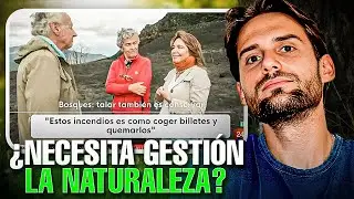 Does nature not know how to manage? I answer forestry engineers.
