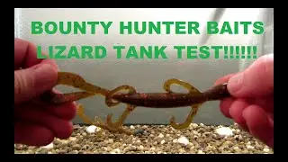 Bounty Hunter Baits Lizard tank test