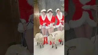 SHOCKING CHRISTMAS PHOTOS 