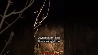 Scary Sounds Caught In HELLTOWN Forest #paranormal #scary #exploration