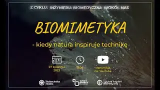 Z cyklu Inżynieria Biomedyczna wokół nas: Biomimetyka - kiedy natura inspiruje technikę