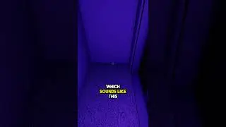 EASY Twin Test in Phasmophobia