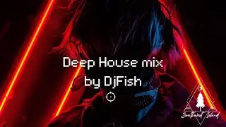 Deep House mix by DjFish @Dejavu2.0 Labuan Bajo 29 May 2024