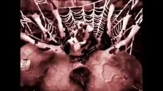 Techno -sweat dancing- David acid