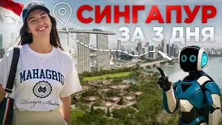 Singapore: 3-Day Itinerary. Accommodation, Food, Transportation, Best Places, and Prices!