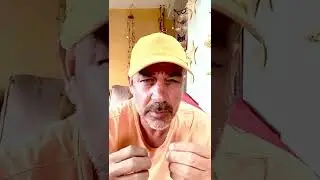 על החיסול ״מטווח אפס״ היום באזור, של ראש משפחת הפשע - בני שלמה, ועל מה זה אומר עלינו כחברה?