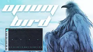 Opium Bird Type Beatler Nasıl Yapılır? (Bu Video 2027'den Geliyor)