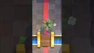 I love the suspicious bush