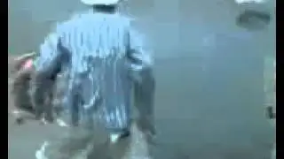 ATAQUE ANGUILA GIGANTE (SD)