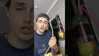 КОЛЯН ИЗ ПАЯЛЬНИКА?