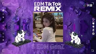 Melody TikTok《EDM TikTok+》修改中文版DJ抖音热播｜Melody Douyin Songs｜聽100萬次都不膩｜盤點2026抖音熱門原創單曲
