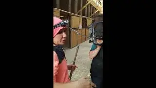 Пилим зубы лошади с ведущим ветеринарным врачом Светланой Крициной.