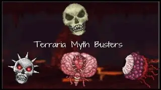 Terraria Myth Busters  |  Ep. 1