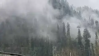 Gulmarg Kashmir// Switzerland of India
