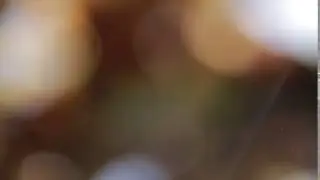 Футаж Абстрактный Свечение и Блики видео фон для слайд шоу