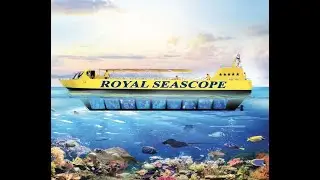 Плавание на корабле Royal Seascope. Хургада.