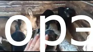 У меня беда. Я ее потеряла.